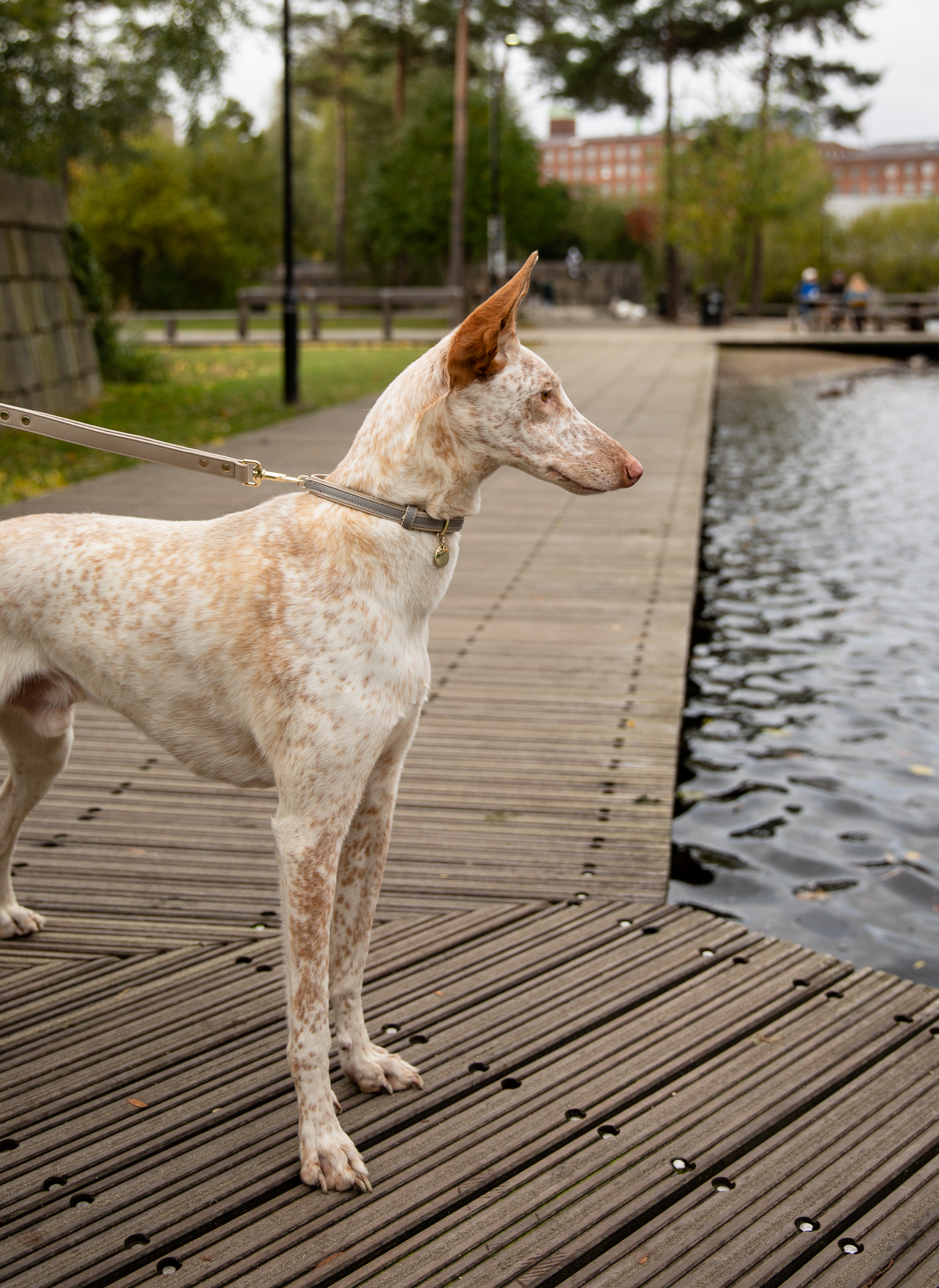 LONDON - VEGAN LEATHER DOG LEASH