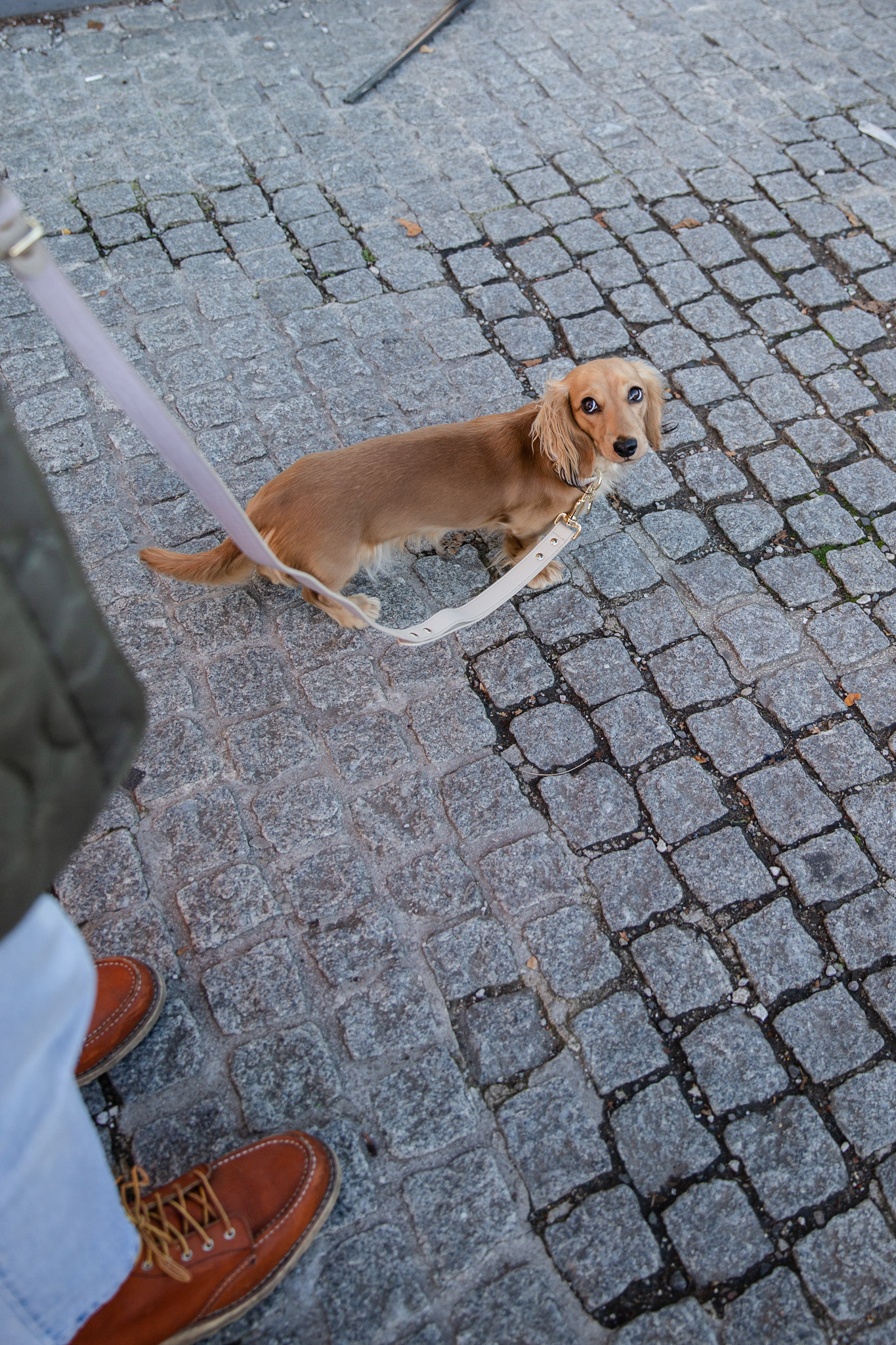 MILAN - VEGAN LEATHER DOG LEASH