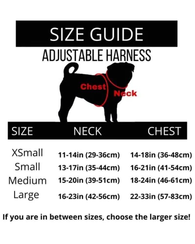 "YOU’RE SO GOLDEN” DOG & CAT ADJUSTABLE HARNESS