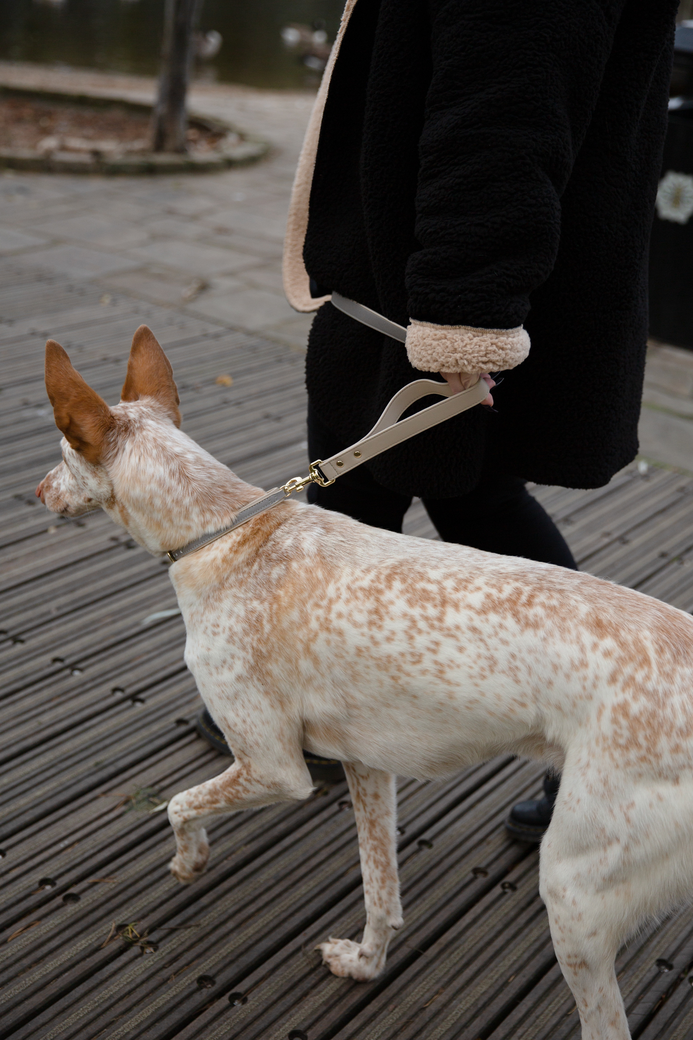 LONDON - VEGAN LEATHER DOG LEASH