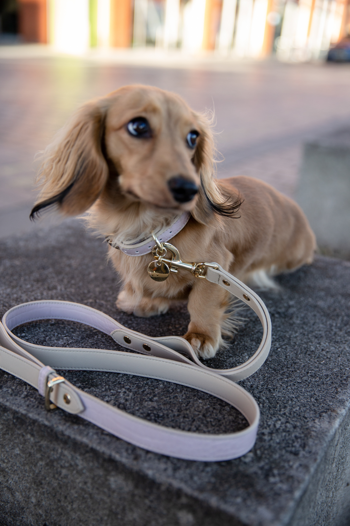 MILAN - VEGAN LEATHER DOG LEASH