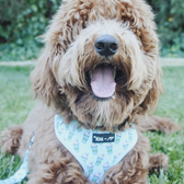 “PUPSHAKE BLUE” DOG & CAT ADJUSTABLE HARNESS