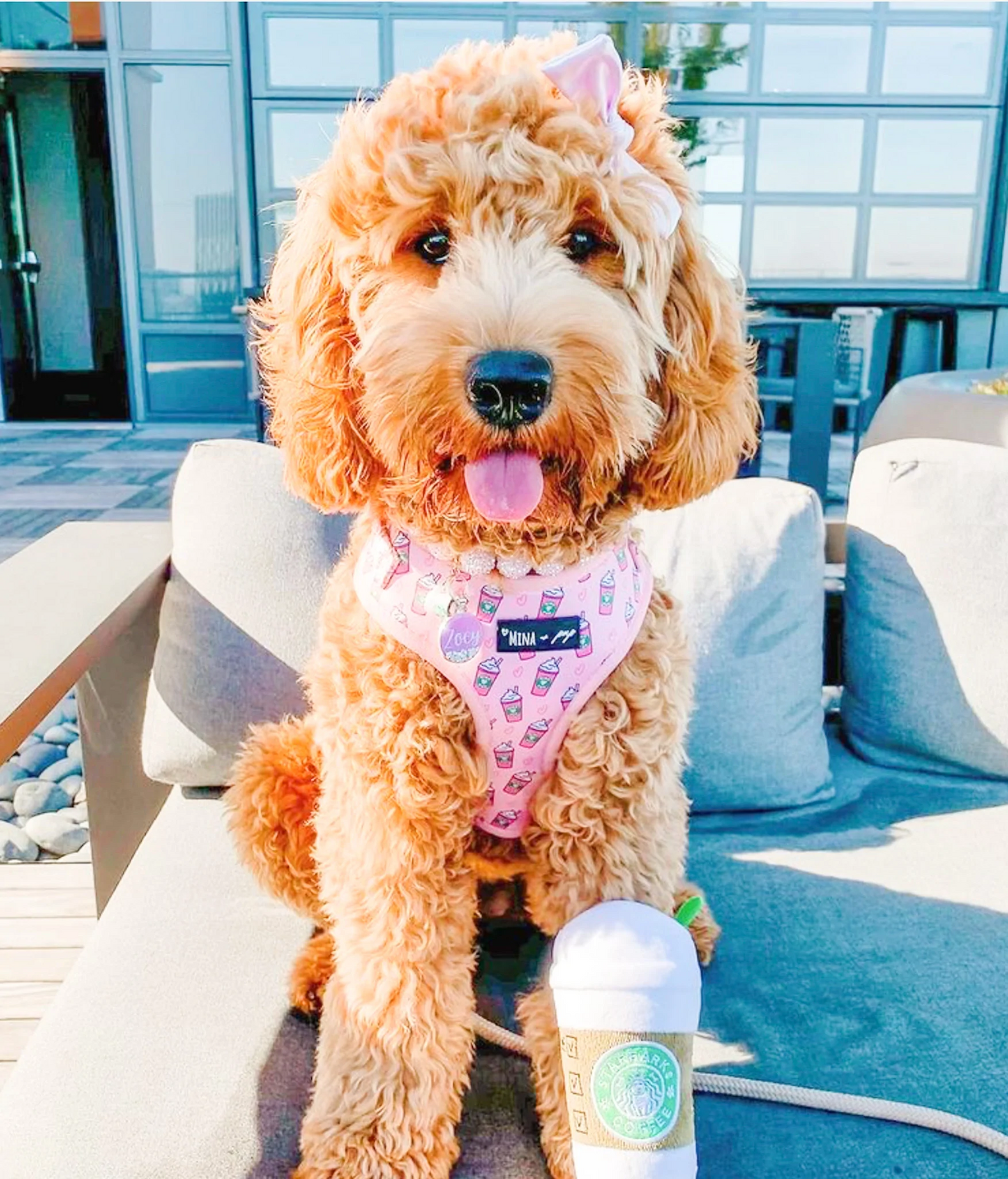 “PUPSHAKE PINK” ADJUSTABLE DOG & CAT HARNESS